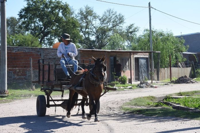 Avanza el registro para la sustitución de tracción a sangre en Resistencia