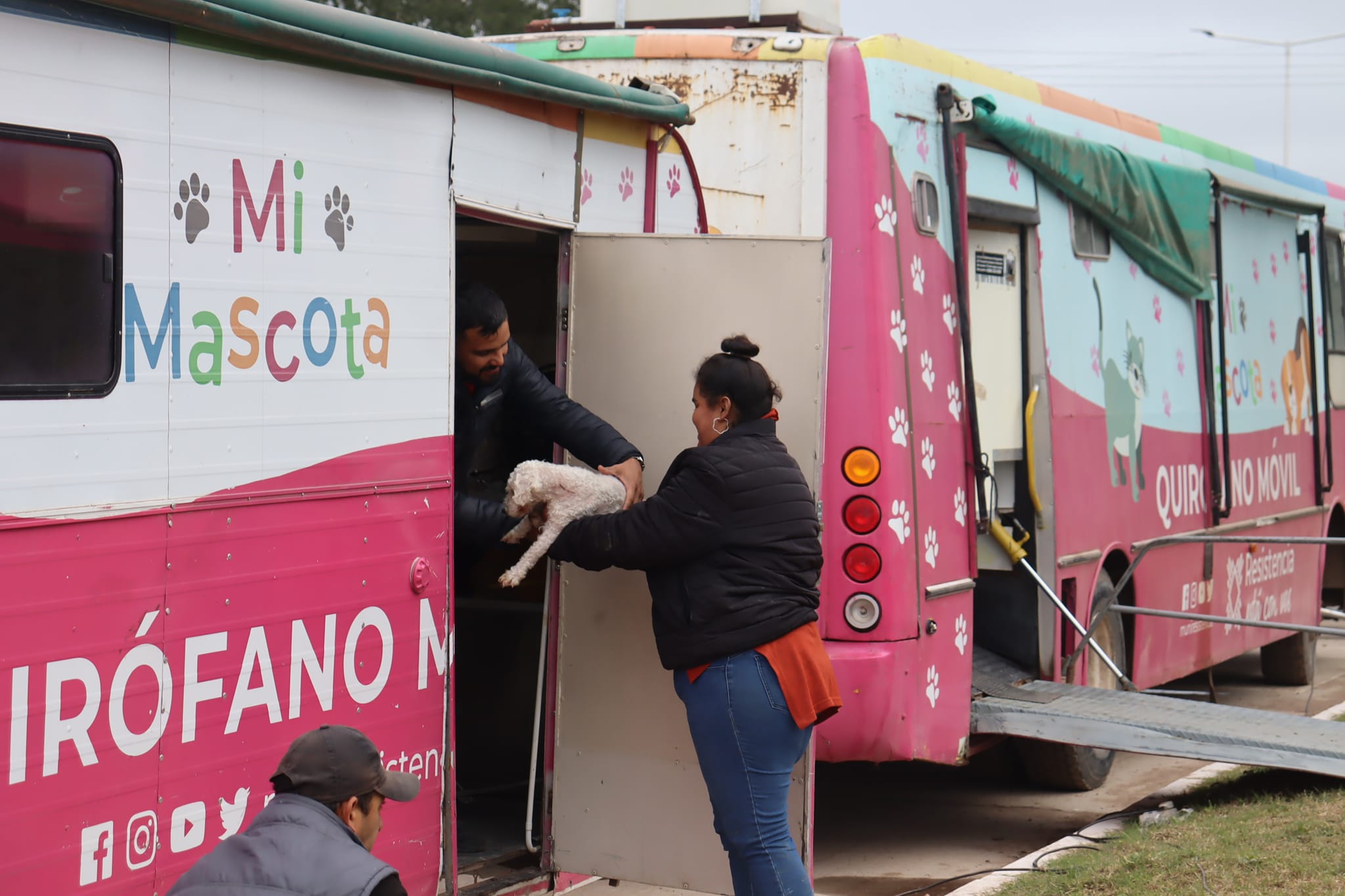 Castraciones gratuitas de mascotas en Resistencia