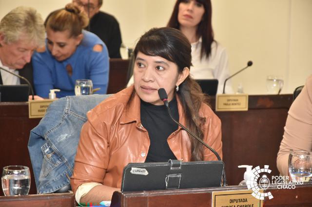 Impulsan la señalización vial bilingüe en rutas y caminos provinciales
