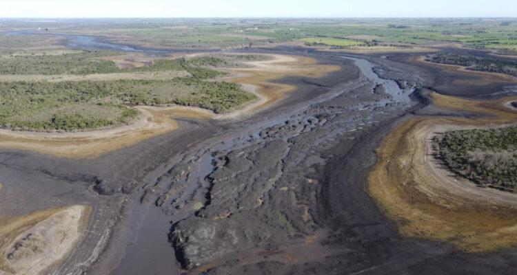 La comunidad cinetífica y ambientalistas culpan a gobiernos y al agro por la crisis hídrica en Uruguay