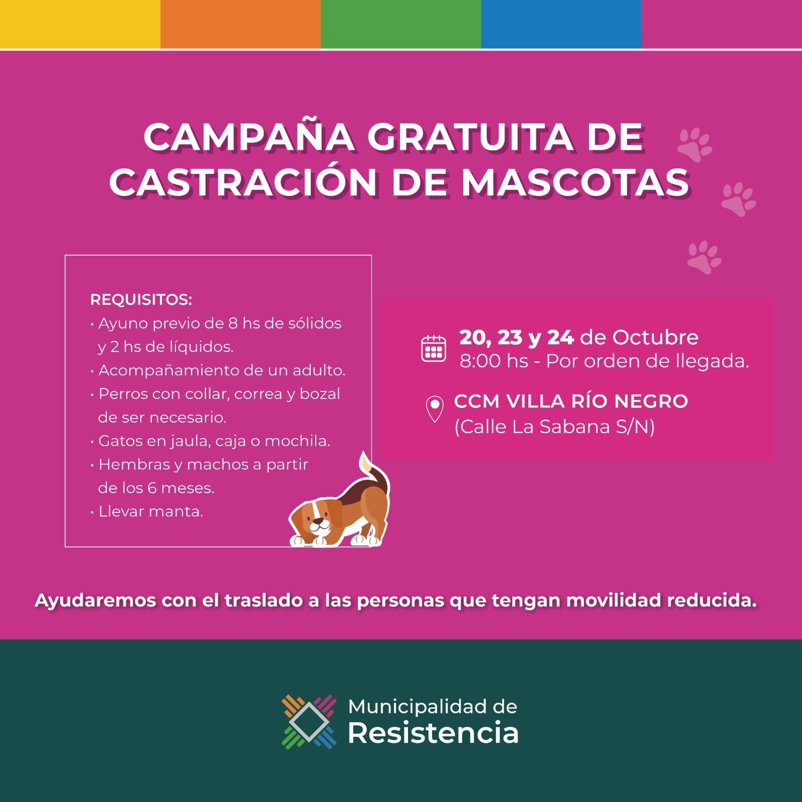 Municipalidad de Resistencia continúa con nuevas fecha el programa Mi Mascota