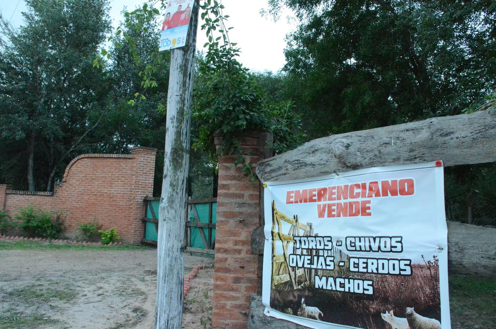 Caso Sena: hallaron 13 nuevas muestras de restos óseos 