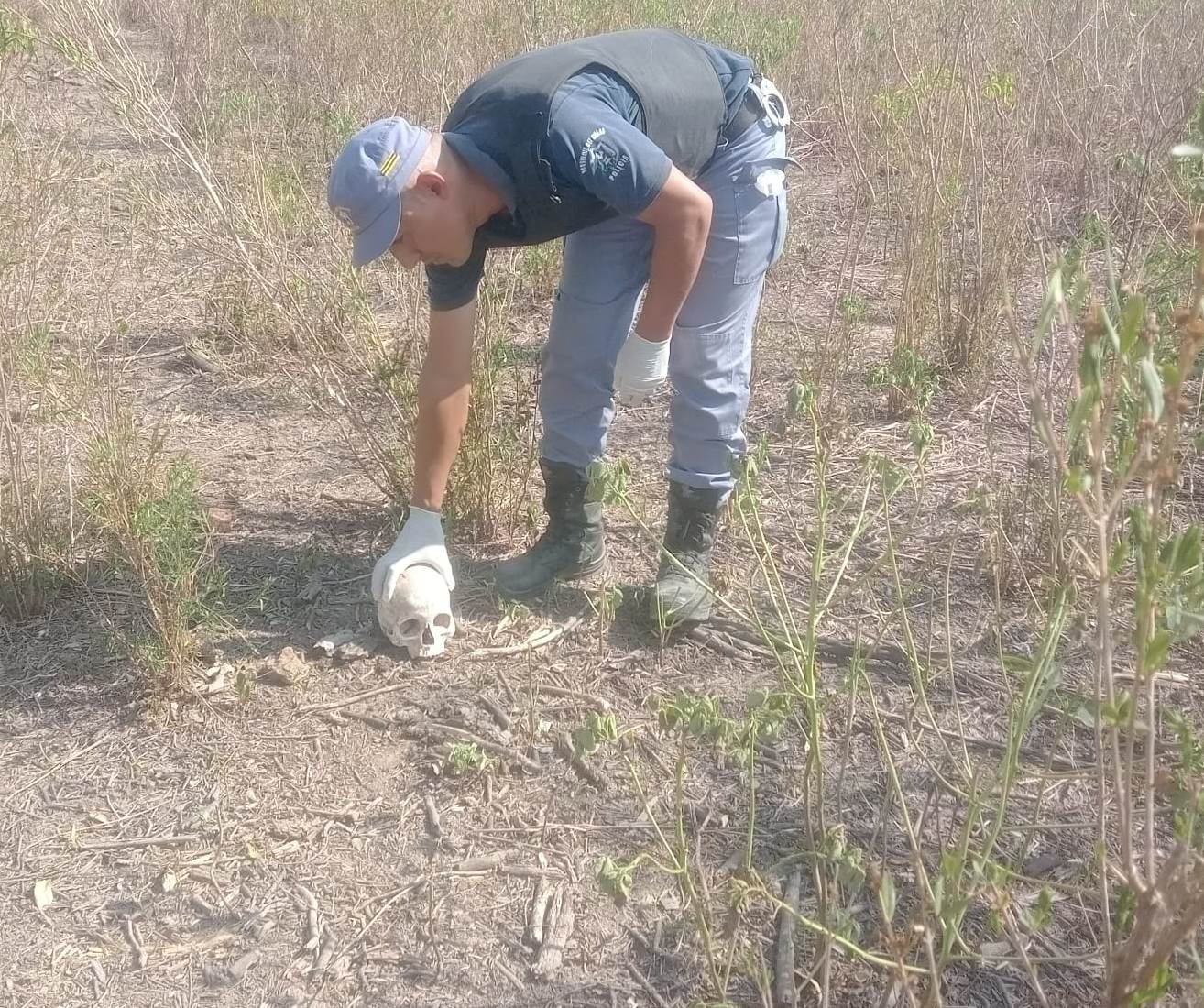 Encontraron un cráneo en Wichi El Pintado