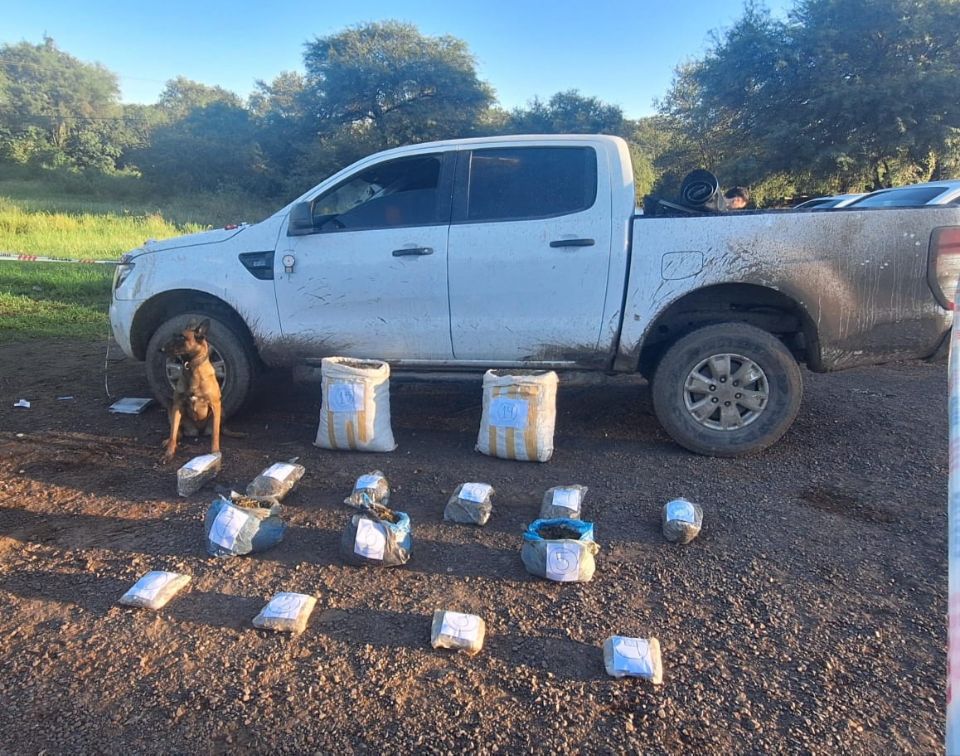 Nuevo golpe al narcotráfico: decomisan cerca de 30 kilos de marihuana valuada en 10 millones