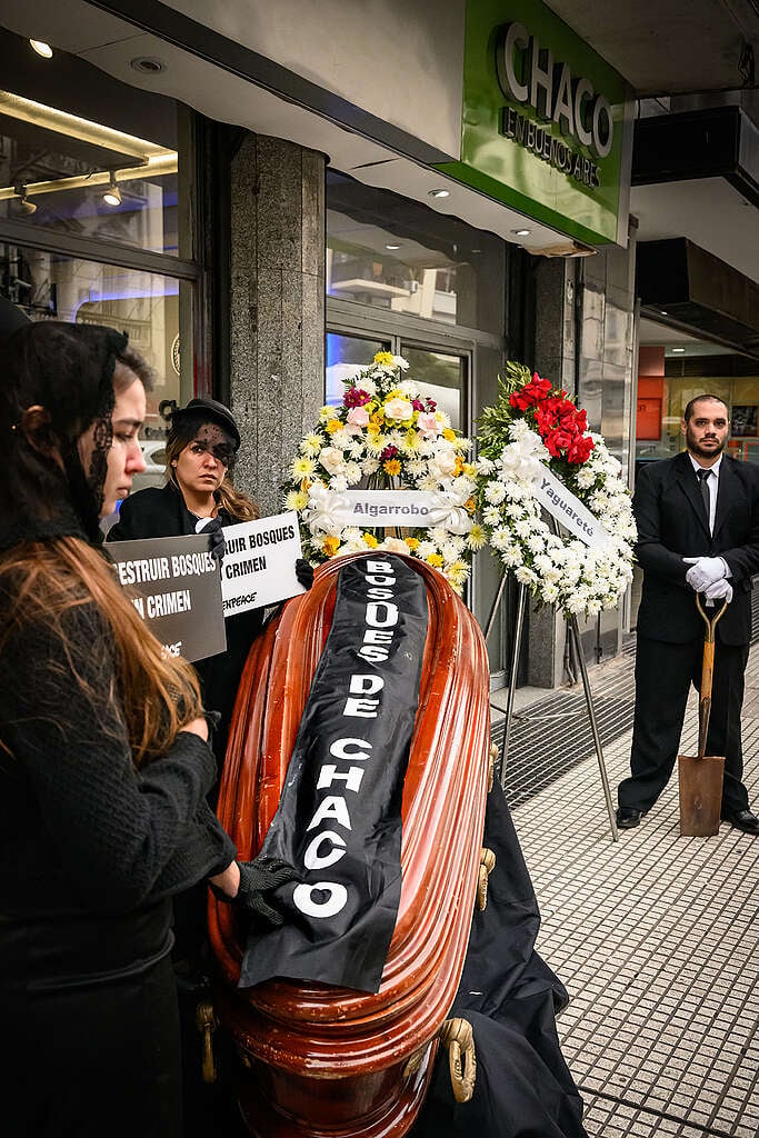 Velorio en la Casa Del Chaco por los desmontes en los primeros meses del año