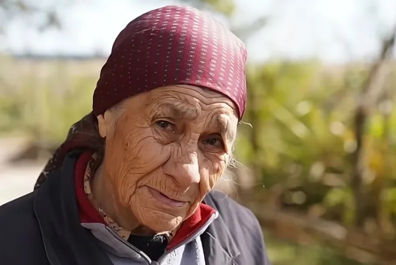La pericia al celular de la abuela de Loan: 34 llamadas eliminadas y una extraña actividad