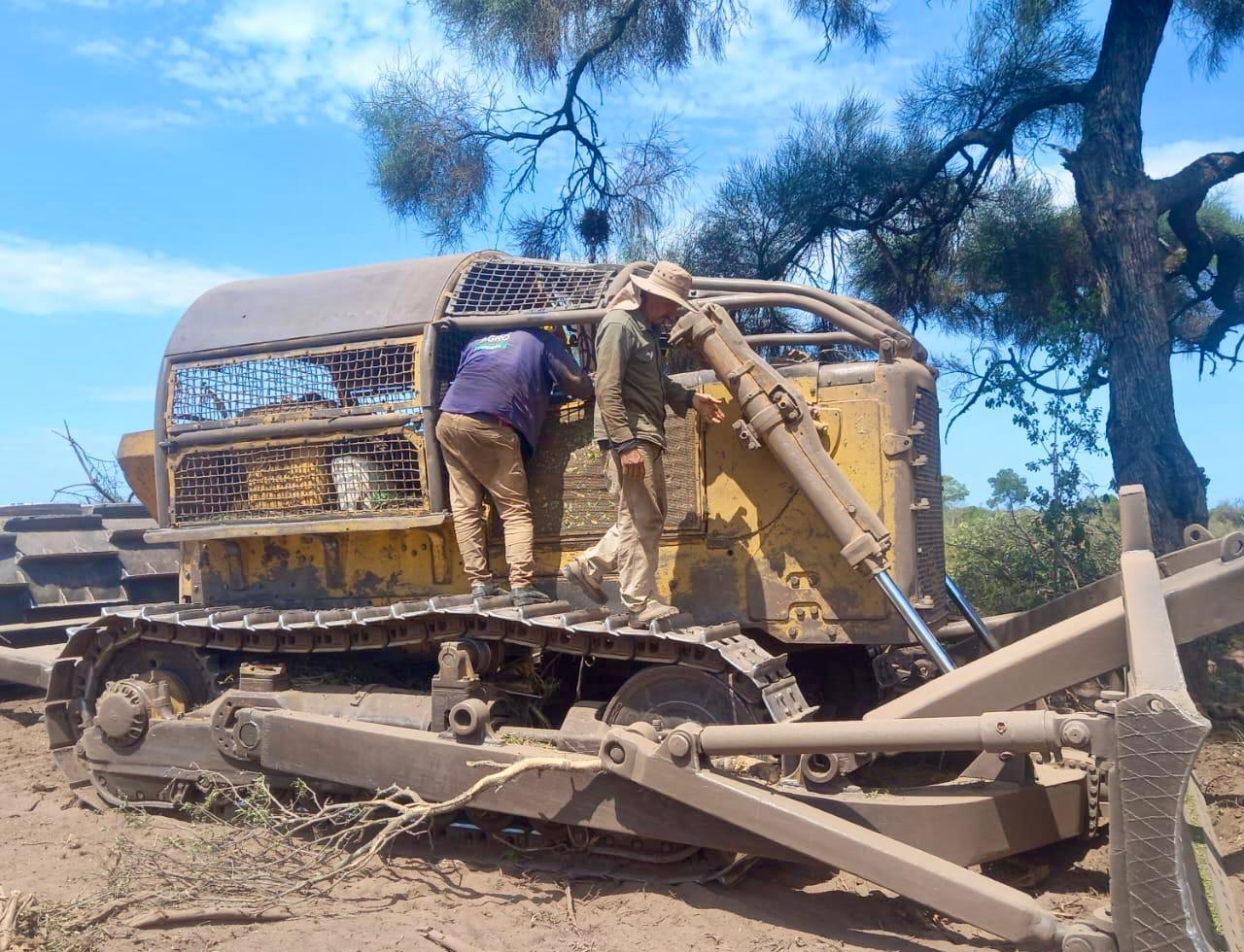 Detienen un desmonte ilegal en cercanías de Tres Isletas