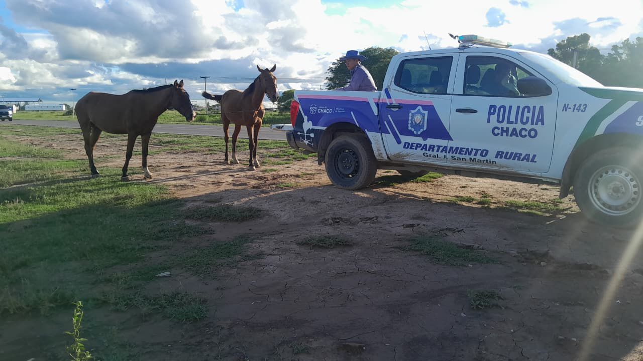 PROTECCIÓN AL CAMPO: ACCIONES Y RESULTADOS EN MATERIA DE SEGURIDAD RURAL DURANTE 2025