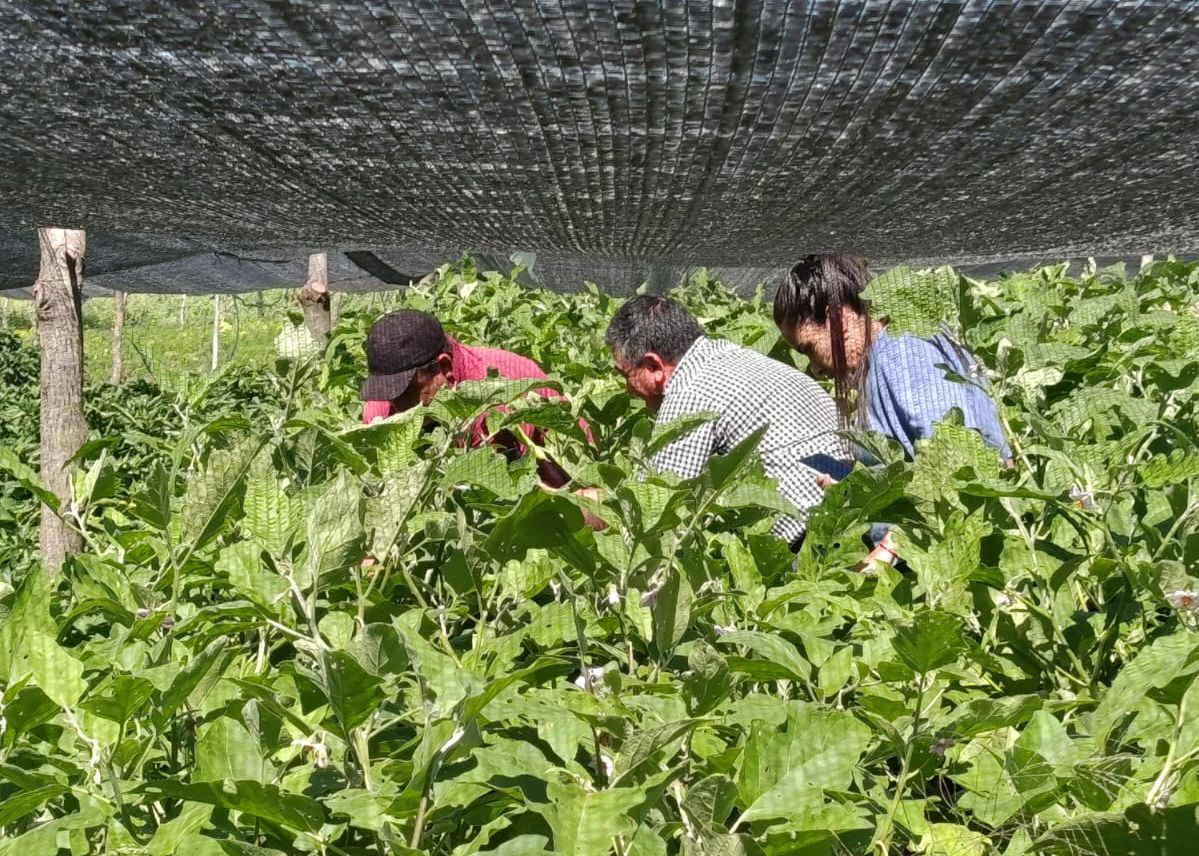PRODER fortalece el acompañamiento a pequeños productores en el interior provincial