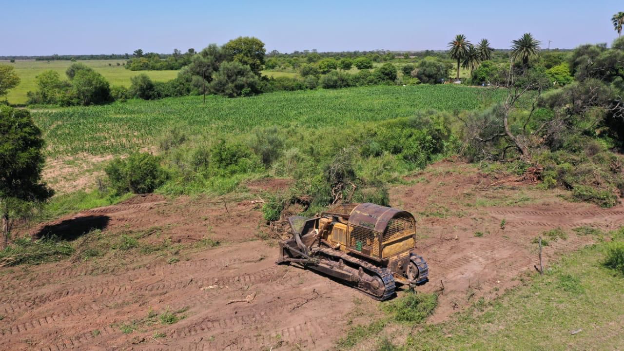La Justicia frena el levantamiento de la cautelar por desmontes en Chaco: todavía falta saber qué pasó en las hectáreas investigadas